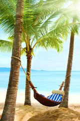 Empty hammock between palm trees