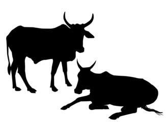 Cows-Vector