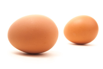 brown egg