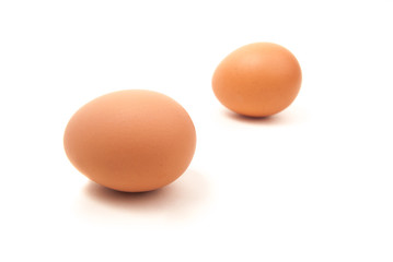 brown egg