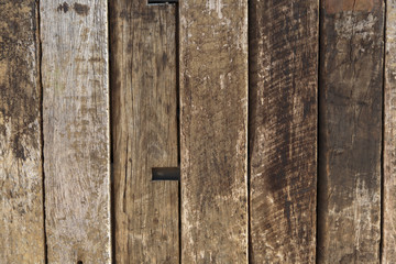 Wooden texture