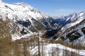 Monte Rosa