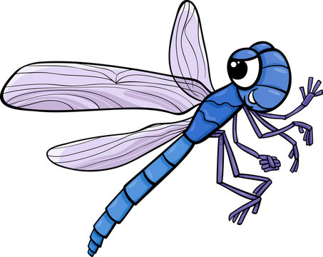 Cartoon Dragonflies Images – Browse 13,908 Stock Photos, Vectors, and Video  | Adobe Stock