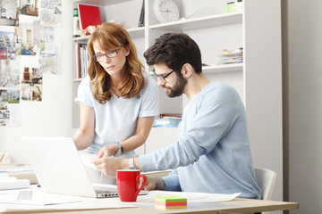 Fototapeta premium Business colleagues working on a laptop