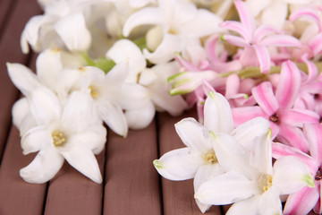 Obraz na płótnie Canvas White hyacinth on wooden background