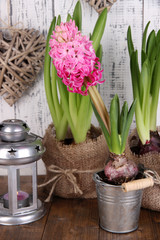 Houseplants in pots with decorative lantern