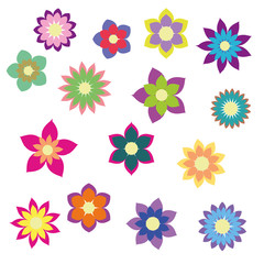 colorful flowers with different shapes floral