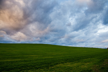 green field background
