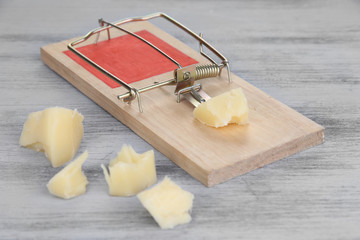 Mousetrap with cheese on wooden background
