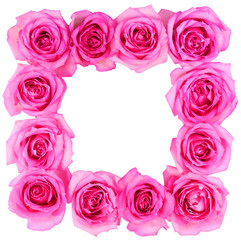 Hot Pink Roses Frame isolated