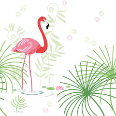 background, pink flamingo