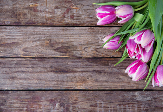 Fototapeta tulips on an old rustic wooden background