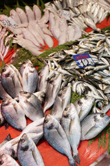 Street fish market in Istanbul