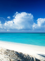 Fototapeta premium tropical sea