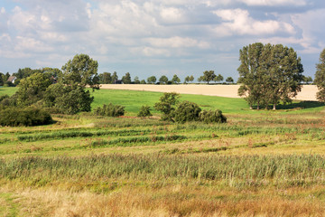 Fototapeta na wymiar Krajobraz w Schwansen w Szlezwiku-Holsztynie