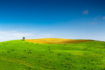Fototapeta premium The land of Sicily