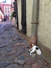 dog ornament in street in d riga