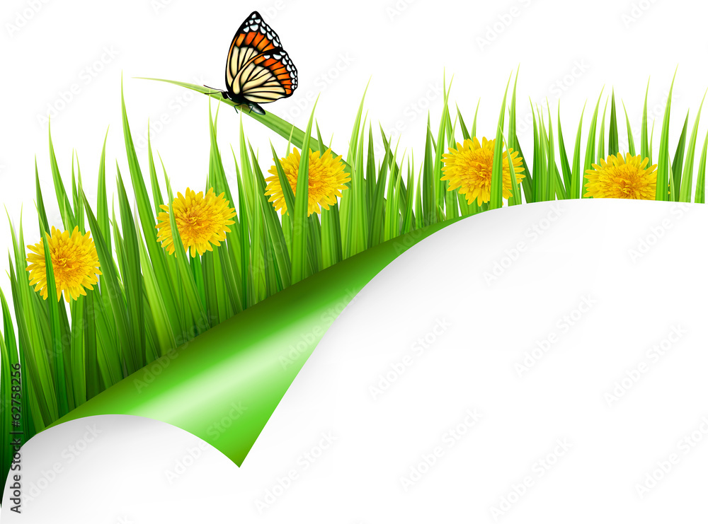 Leinwandbilder Summer background with dandelions and a butterfly. Vector.