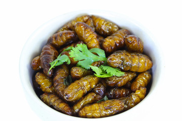 Fototapeta premium Fried insects.