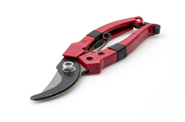 Isolated garden shears