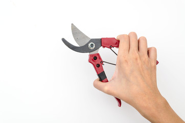 Isolated garden shears