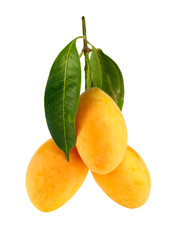 Exotic Thai Fruit. Maprang, Marian plum, Gandaria, Marian mango,