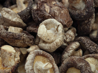 Fototapeta premium Dried Shiitake Mushrooms