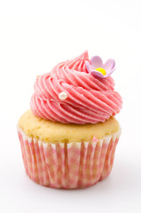 Vanilla cupcakes isolated white background