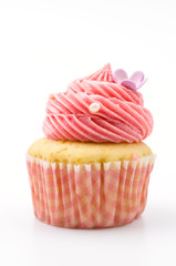 Vanilla cupcakes isolated white background
