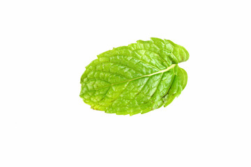 Pepper mint leaf isolated.
