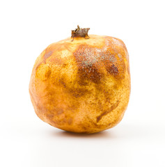 Rot Pomegranate fruit isolated white background