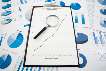 Business graph analysis report