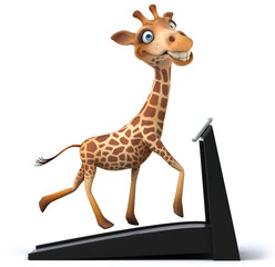 Obraz premium Giraffe