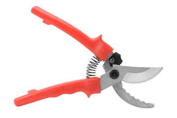 pruner isolated on white background