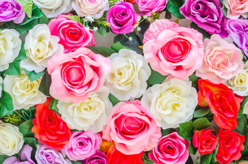 Flowers background
