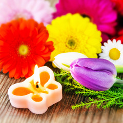 Frühling - Dekoration