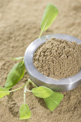 Powdered Sage
