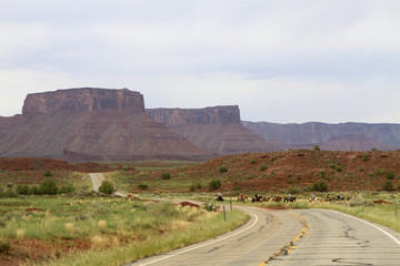 Paysage grand ouest américain, Utah
