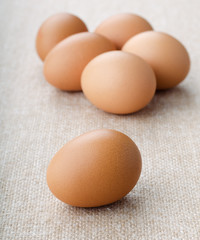 chicken eggs