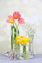 Beautiful spring flowers