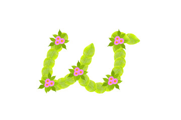 Photograph of Leaves Letter w