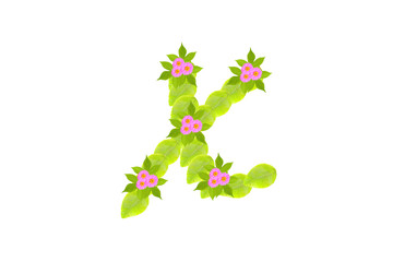Photograph of Leaves Letter x