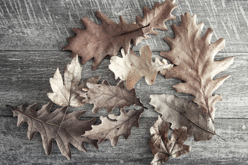 dry leaves on a wooden floor