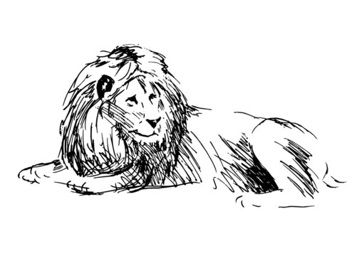 Sketch of a lion. Vector illustration