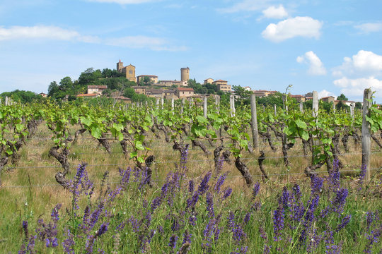 Oingt , wonderful little village near Lyon ,
