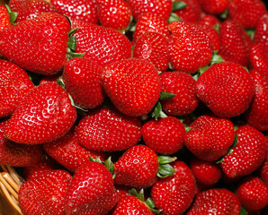 Fresh ripe perfect strawberry - Food Frame Background