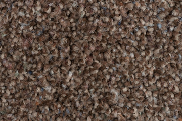 Brown carpet