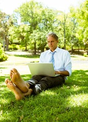 Obraz premium Businessman surfing on laptop