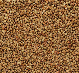 buckwheat