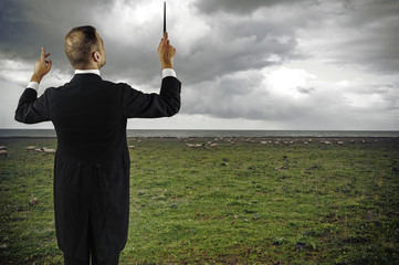 Musician director conduct sheep